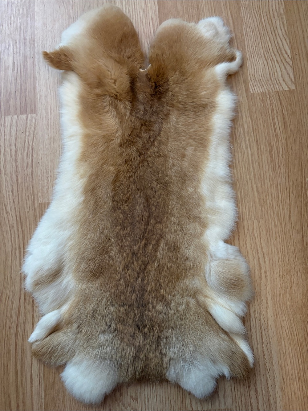 B0210 rabbit pelt craft decor